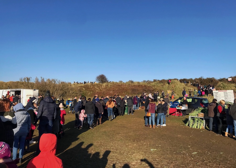 A long queue of people forms at Donna Nook car park. They are waiting to get to the beach to see the seals